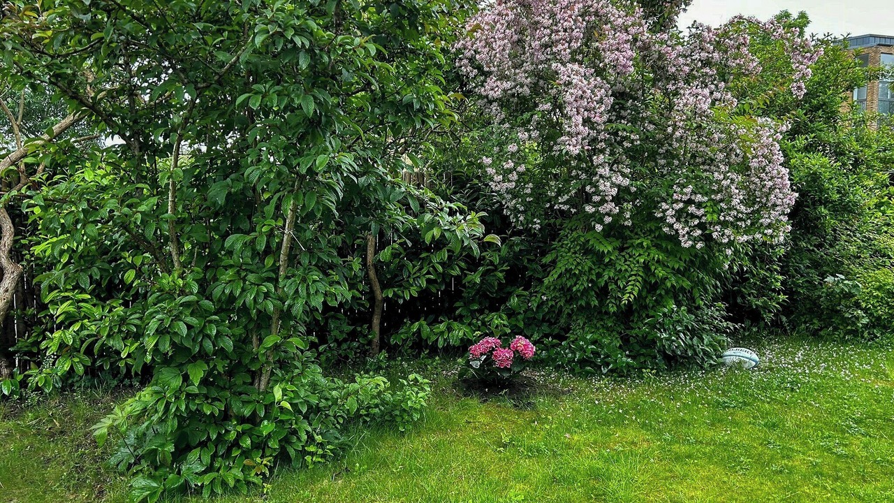 Photo of Outdoor in Amager