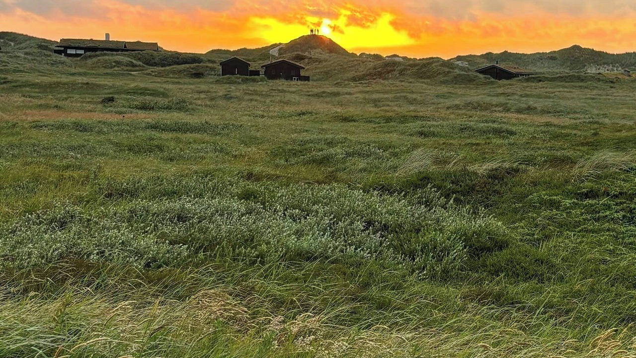 Photo of Others in Rødhus