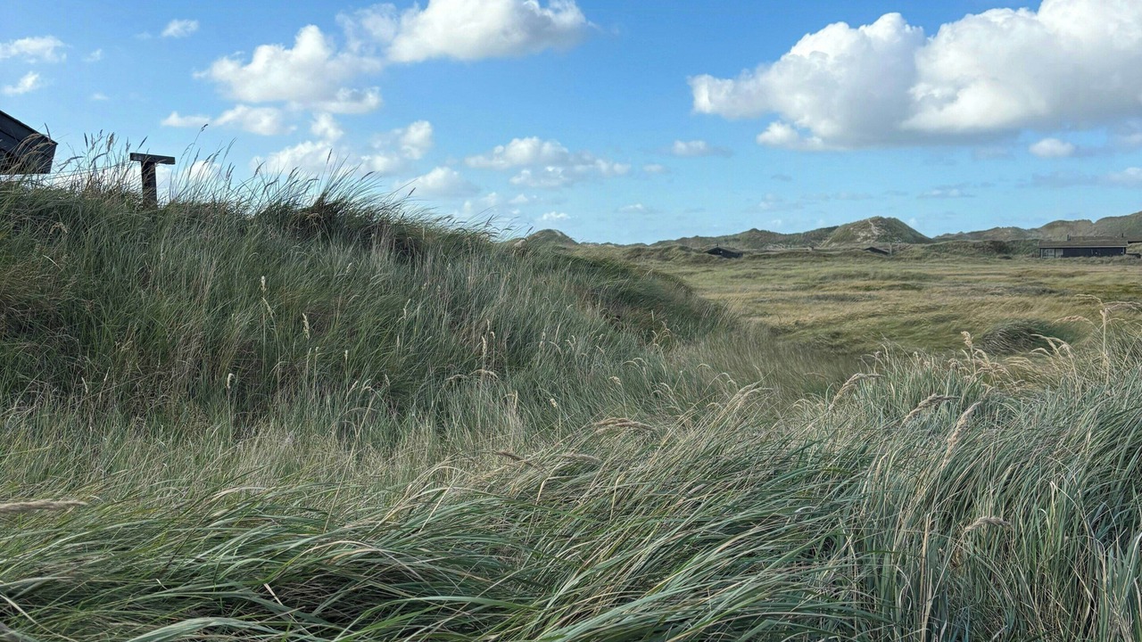 Photo of Others in Rødhus