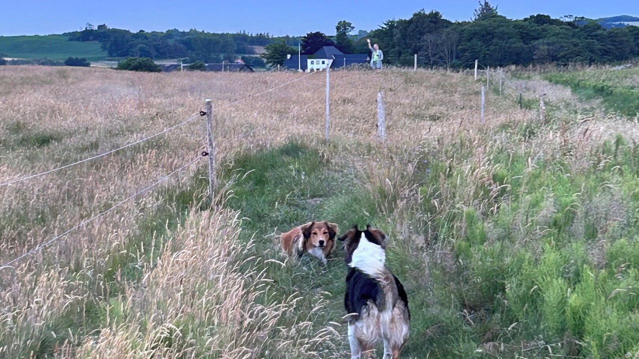 Photo of Others in Remmer Strand