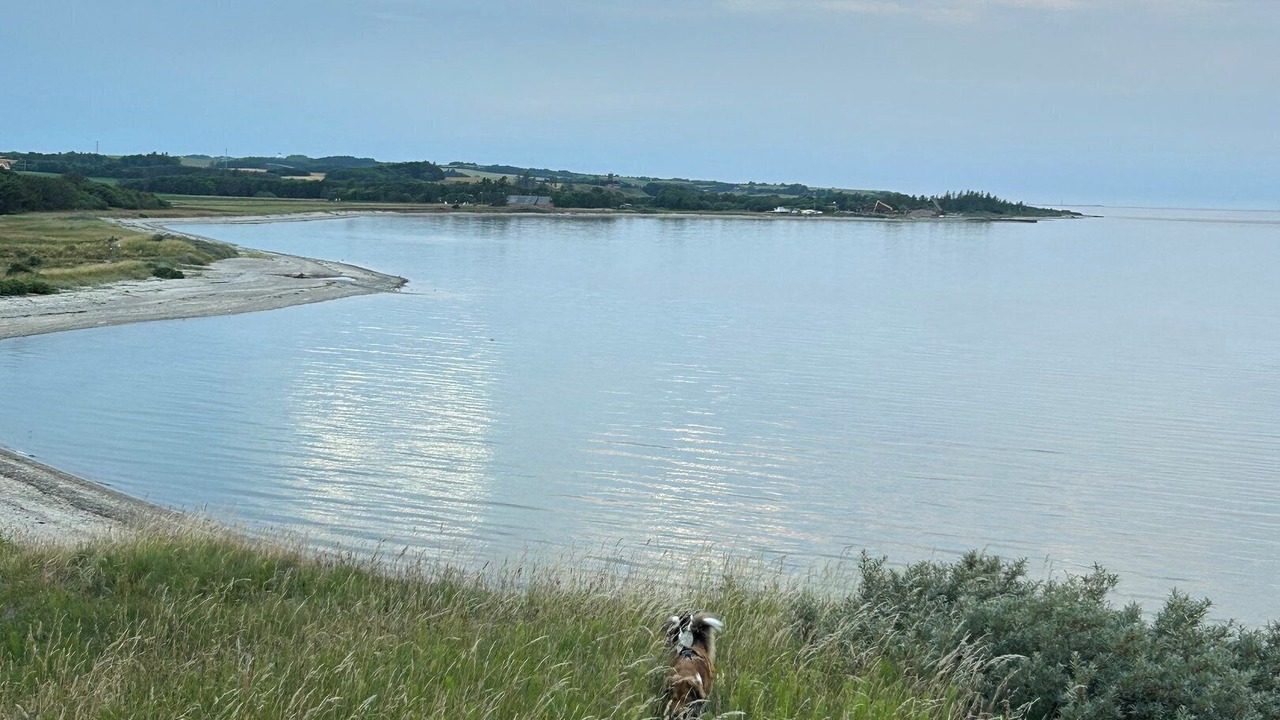 Photo of Others in Remmer Strand