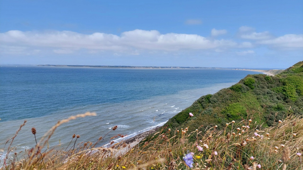 Photo of Others in Remmer Strand