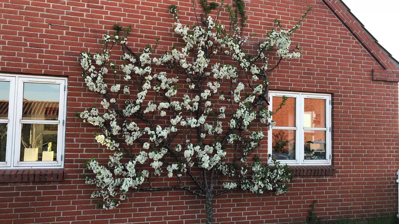 Photo of Others in Frederikshavn