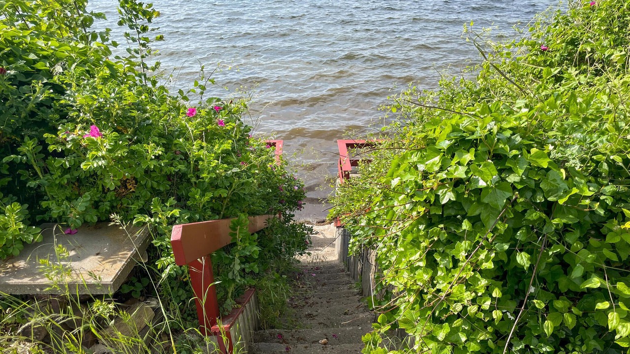 Photo of Others in Haarby