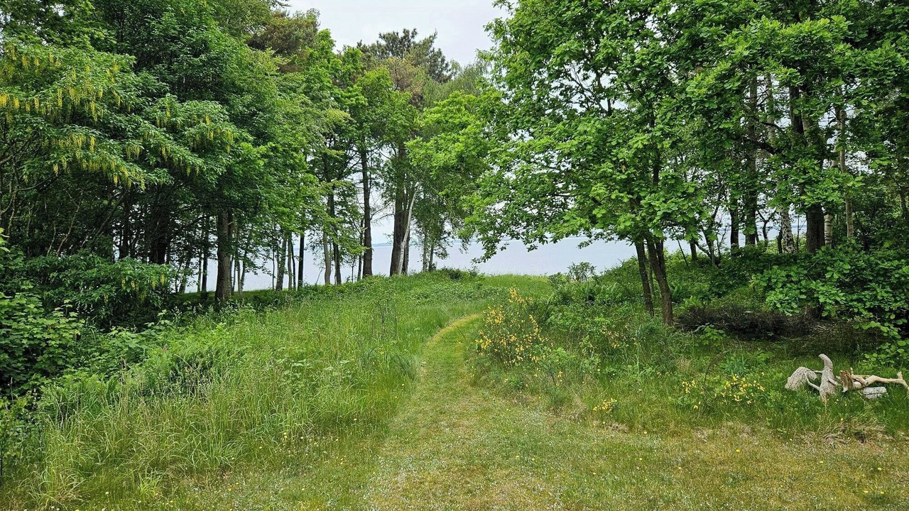 Photo of Outdoor in Hoeve Strand