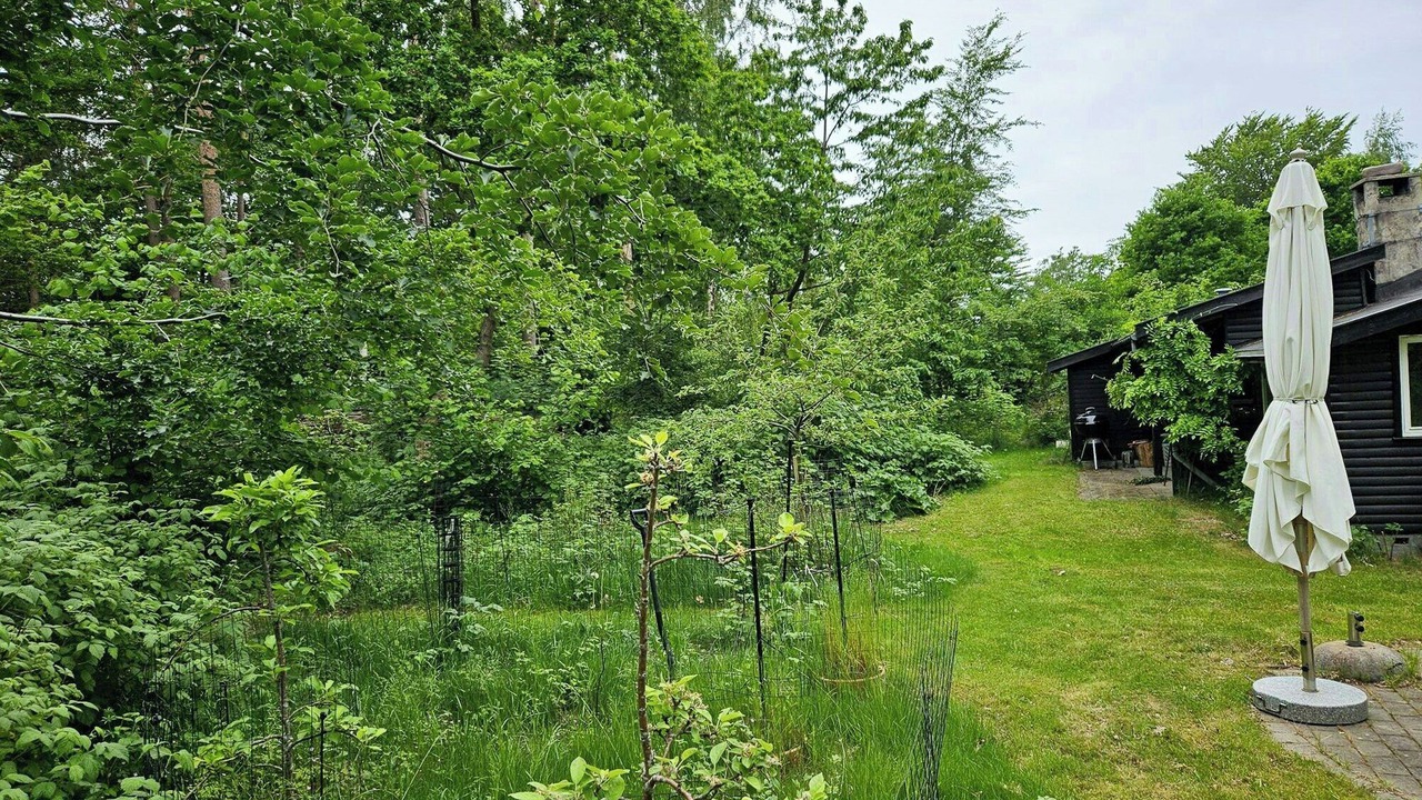 Photo of Outdoor in Hoeve Strand