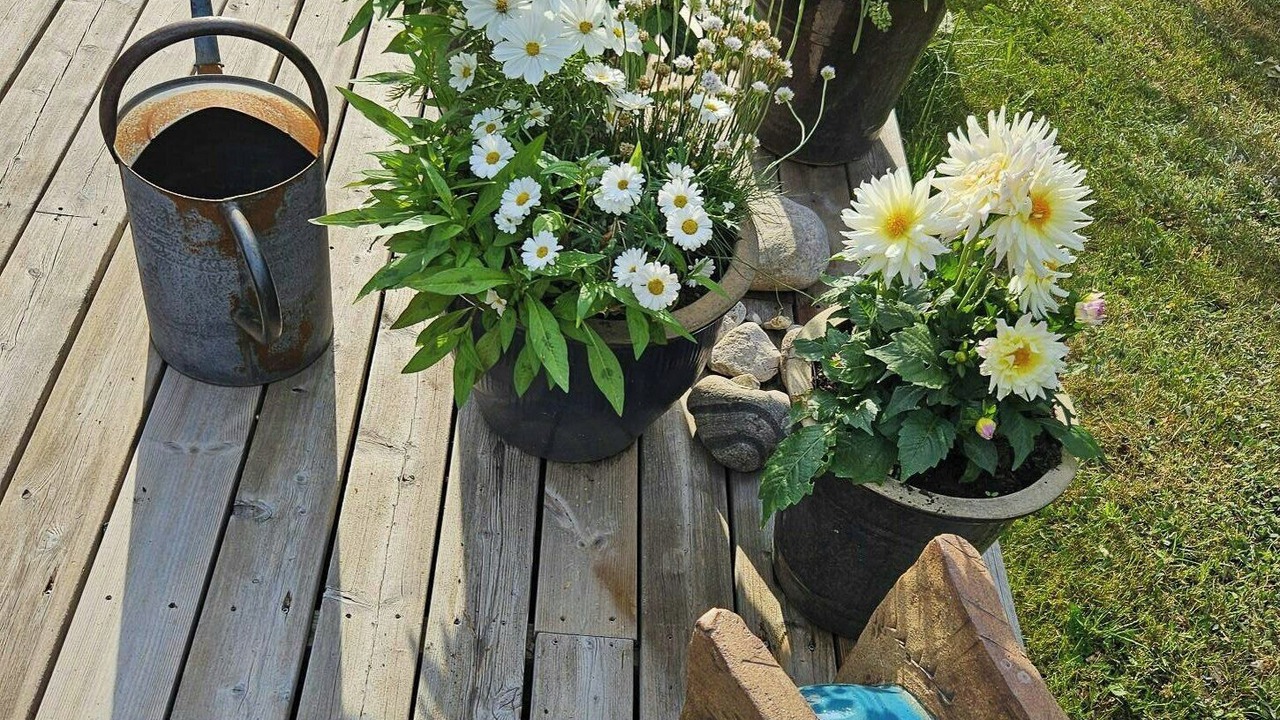Photo of Outdoor in Hoeve Strand