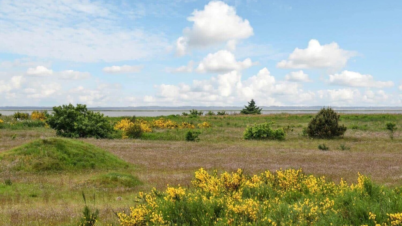 Photo of Others in Ringkøbing-Skjern Municipality