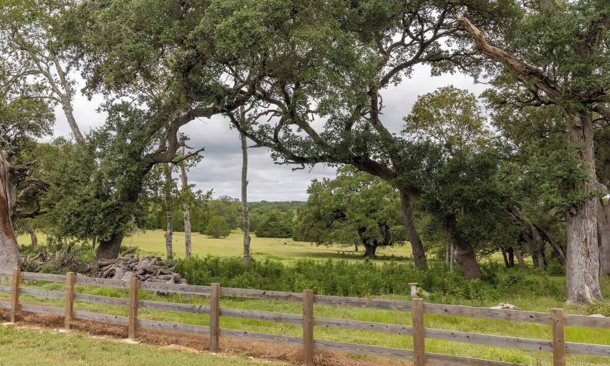 Photo of Others in La Grange