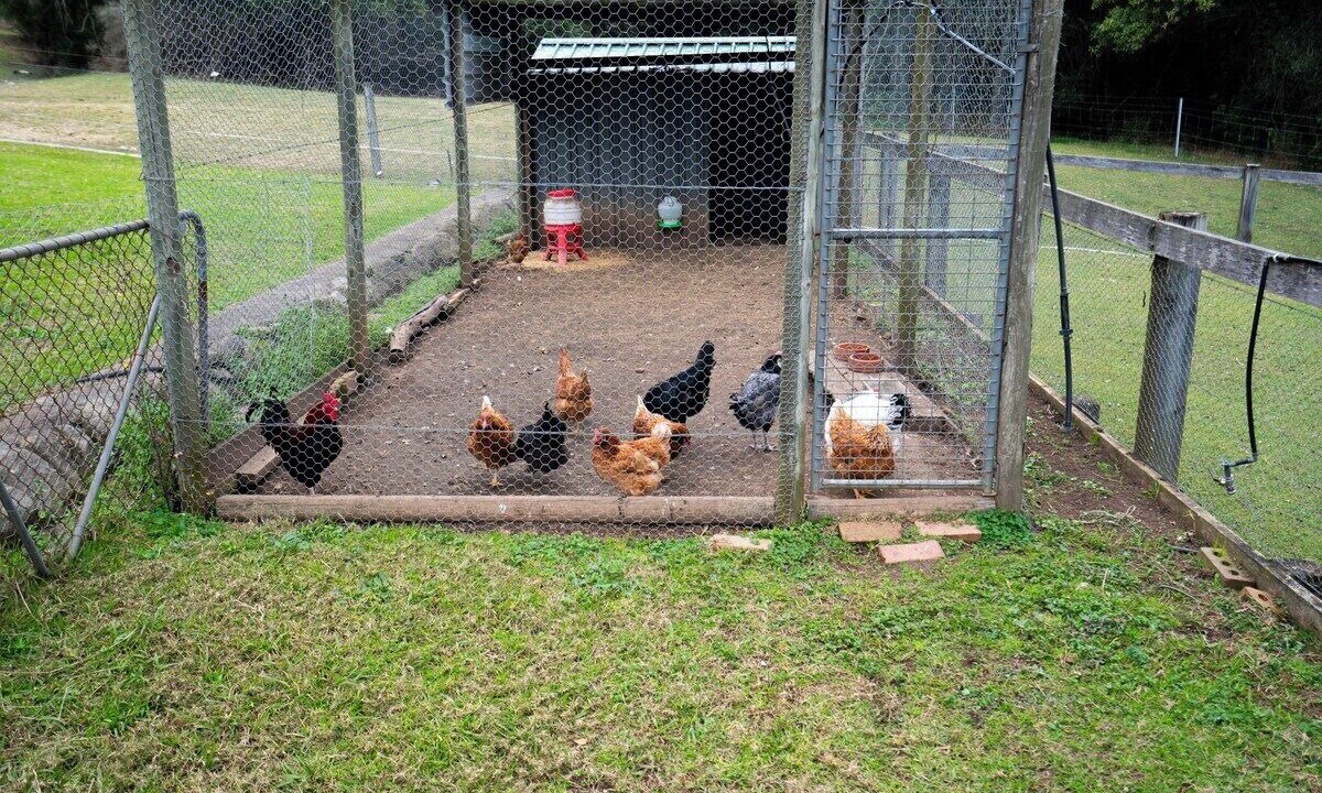 Photo of Outdoor in Mount Hunter