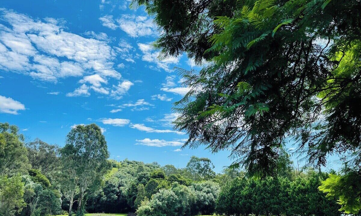 Photo of Outdoor in Mount Hunter