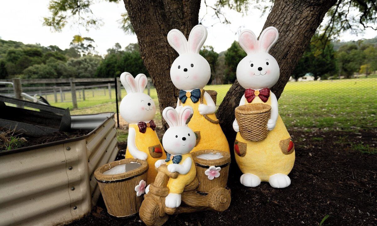 Photo of Outdoor in Mount Hunter