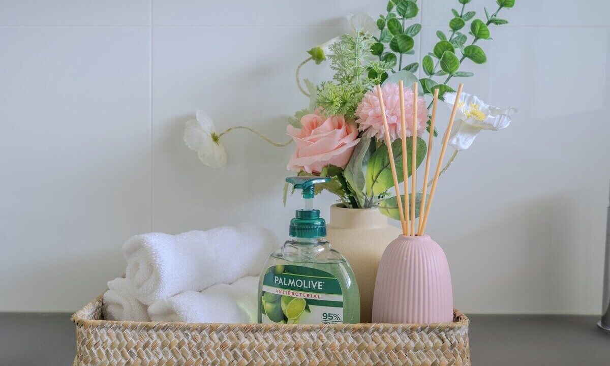 Photo of Others in Mount Hunter