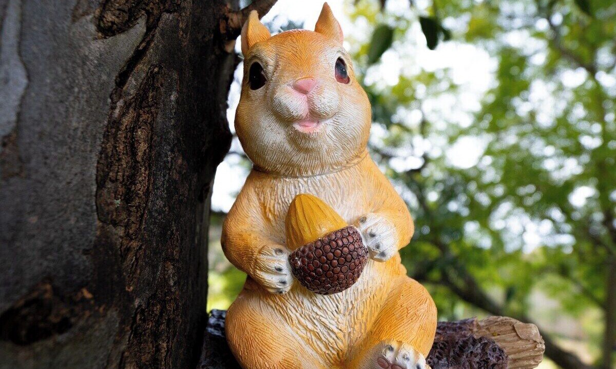 Photo of Outdoor in Mount Hunter