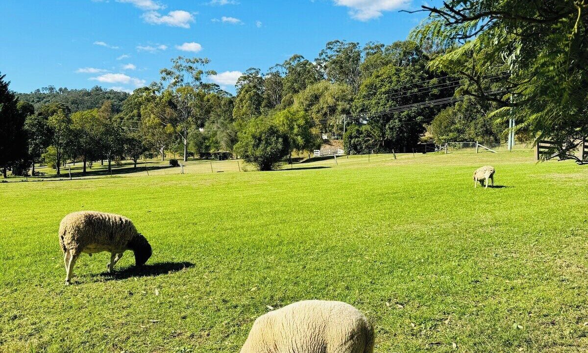 Photo of Others in Mount Hunter