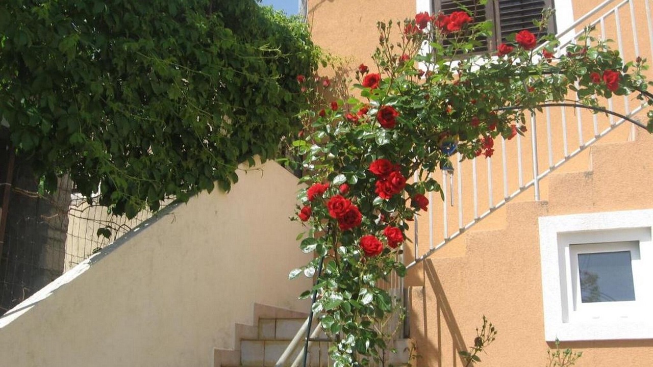 Photo of Outdoor in Prvic Luka