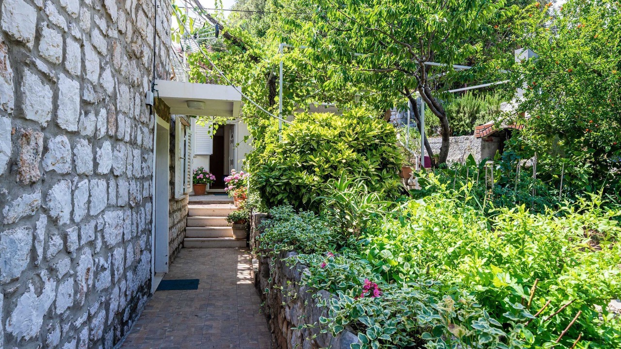 Photo of Outdoor in Zaton