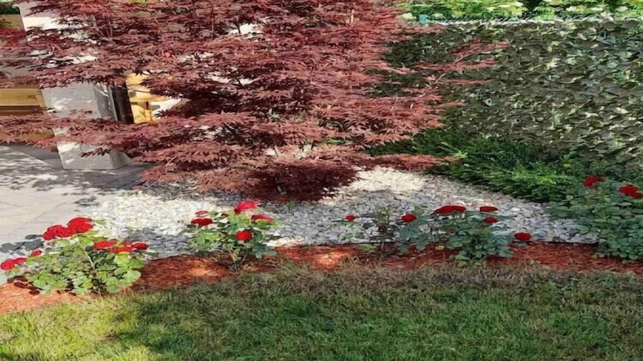 Photo of Outdoor in Lipa