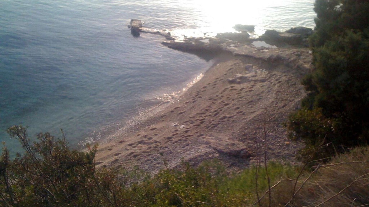Photo of Others in Zavala