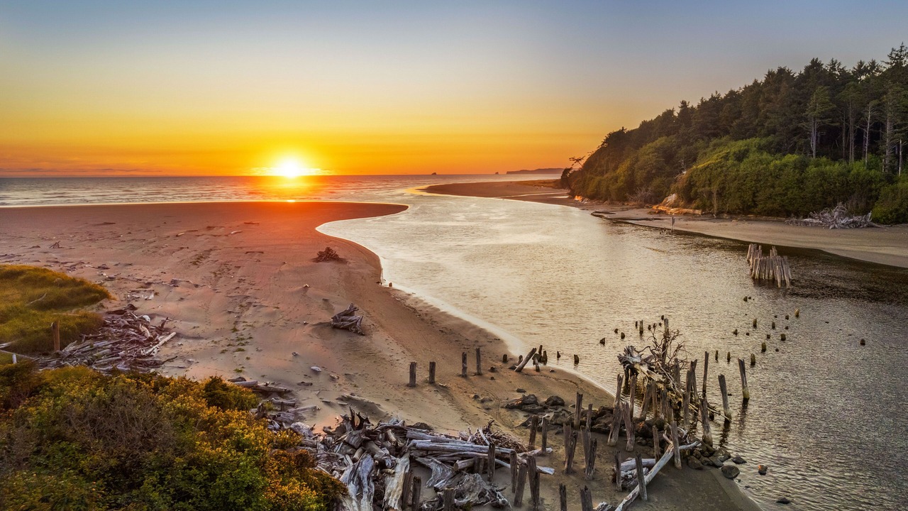 Photo of Others in Moclips