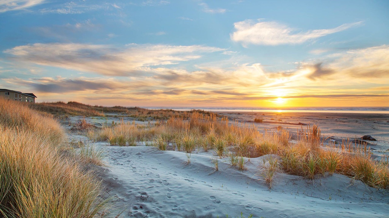 Photo of Others in Moclips