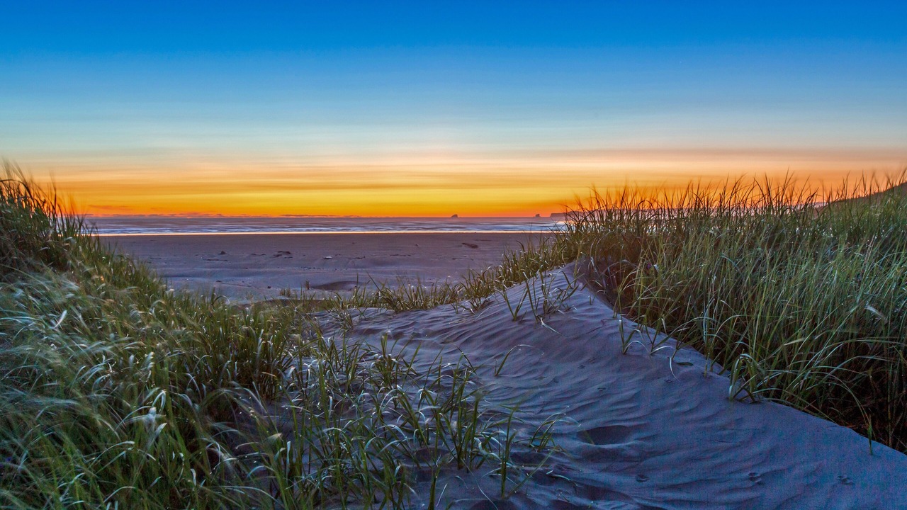 Photo of Others in Moclips