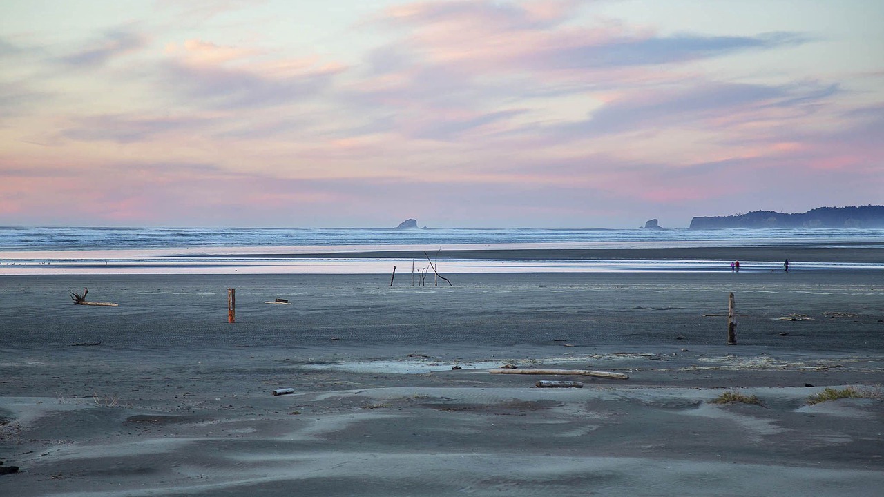 Photo of Others in Moclips