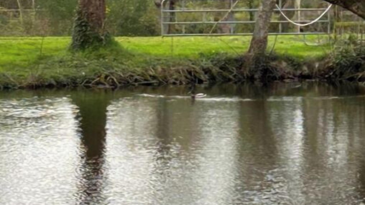 Photo of Bathroom in Manerbe
