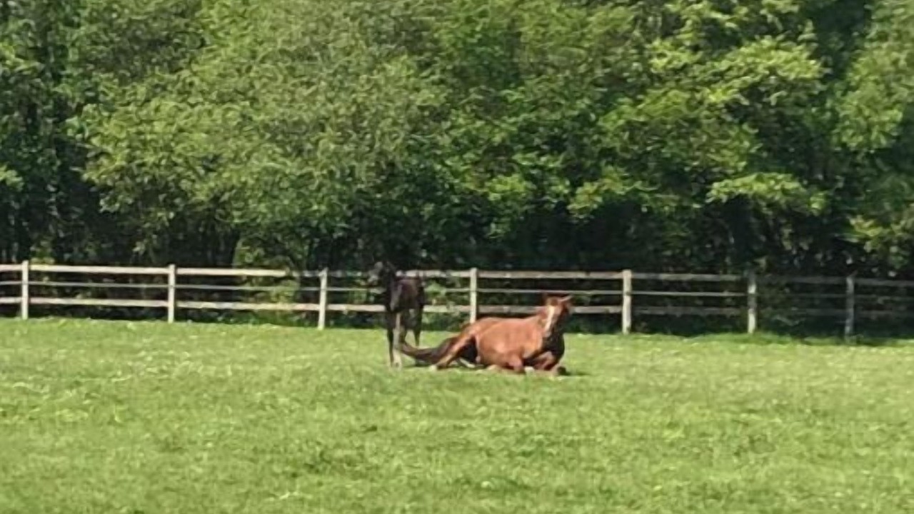 Photo of Outdoor in Manerbe