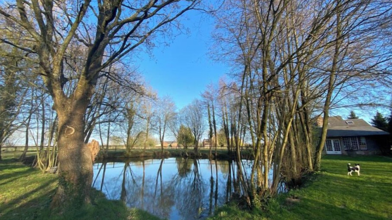 Photo of Outdoor in Manerbe