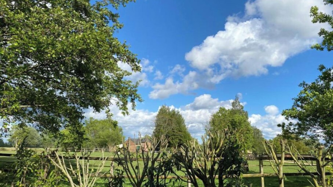 Photo of Outdoor in Manerbe