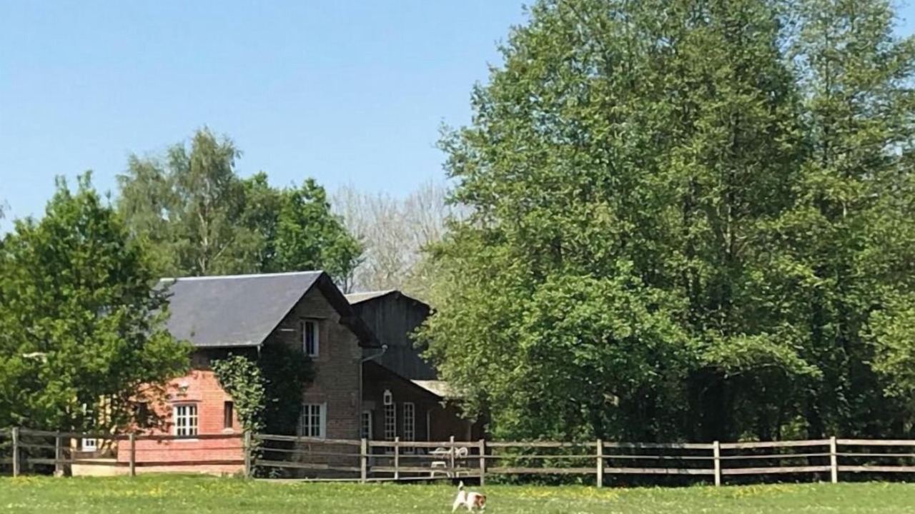 Photo of Outdoor in Manerbe