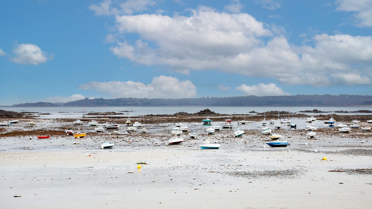 Photo of Others in Tredrez-Locquemeau