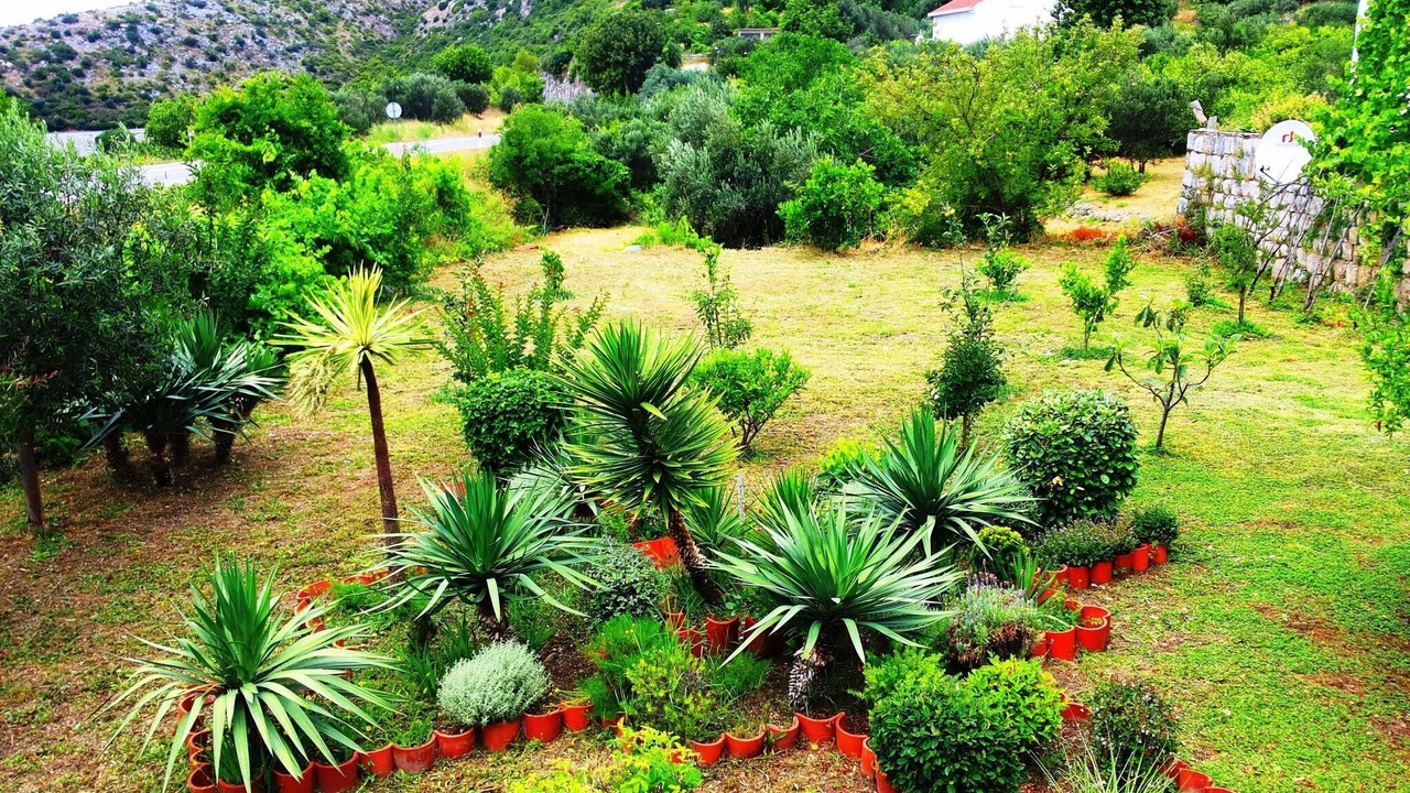 Photo of Outdoor in Brsecine
