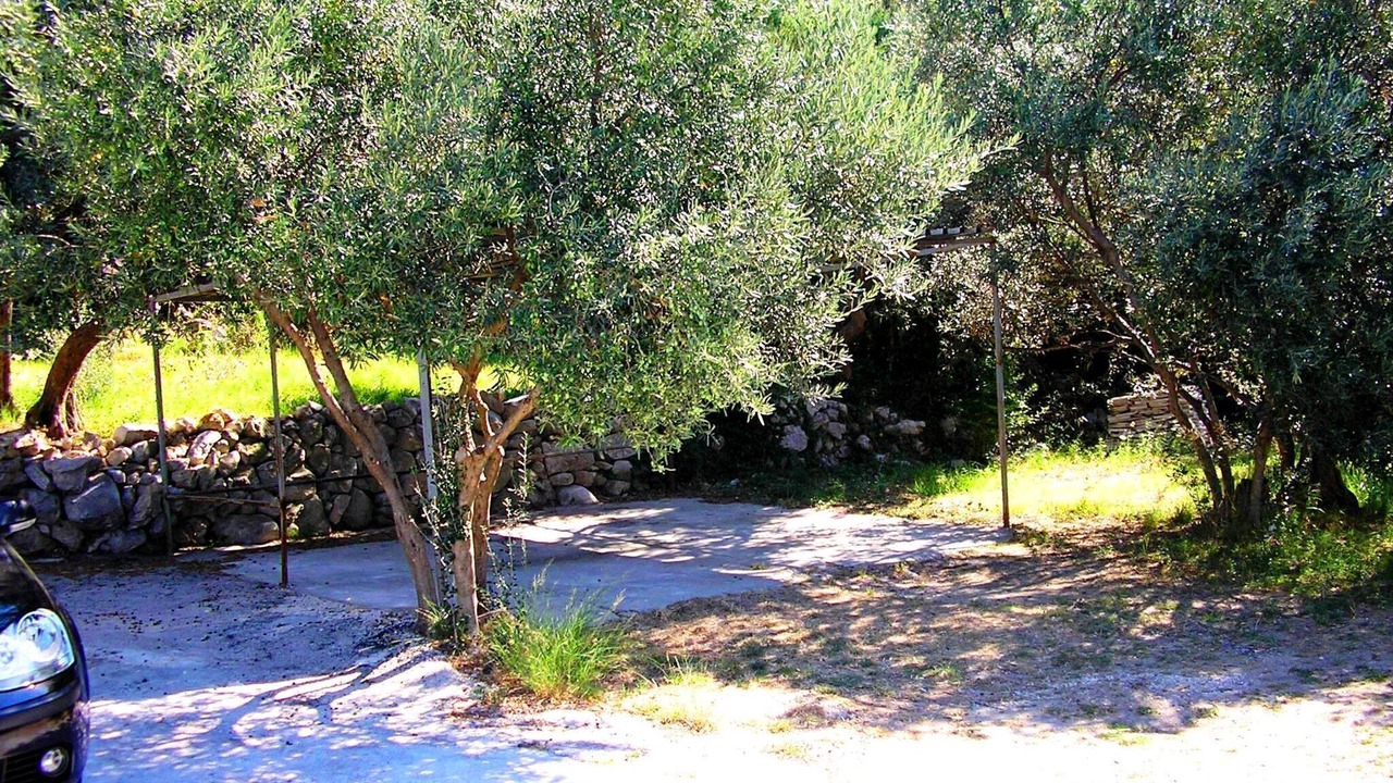 Photo of Outdoor in Brsecine