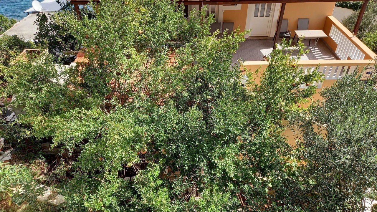 Photo of Outdoor in Sobra