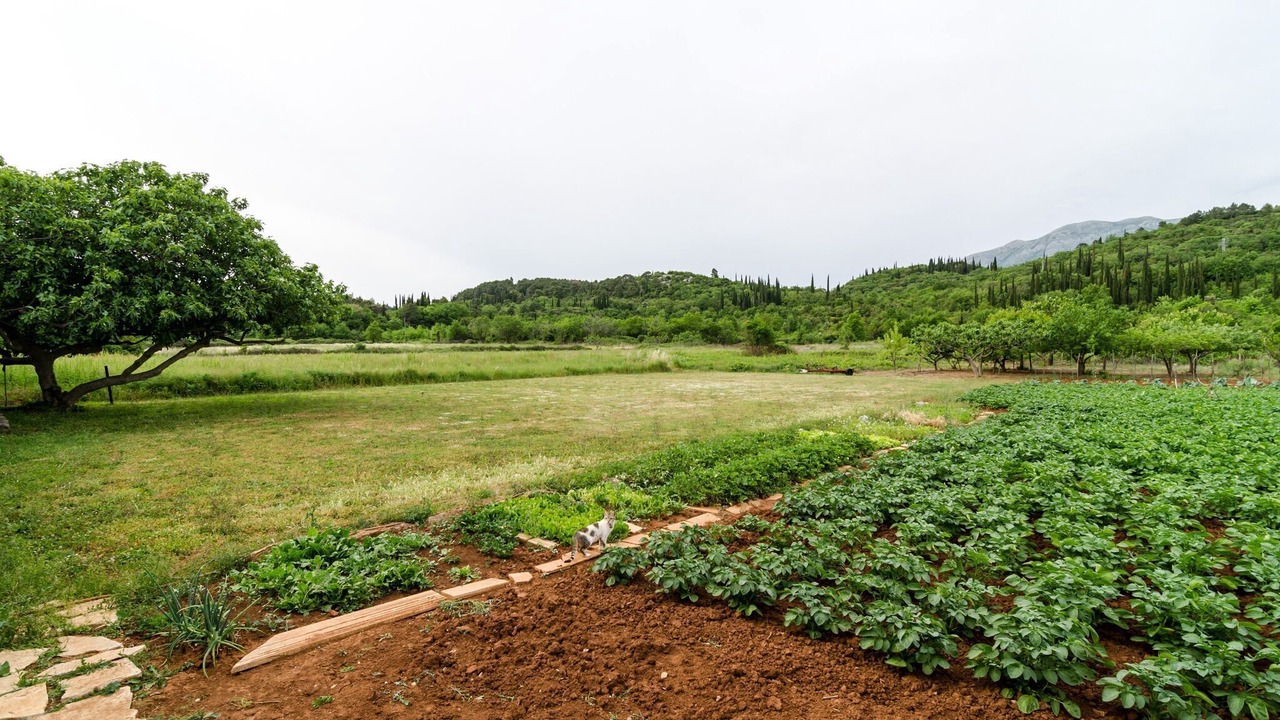 Photo of Outdoor in Popovici