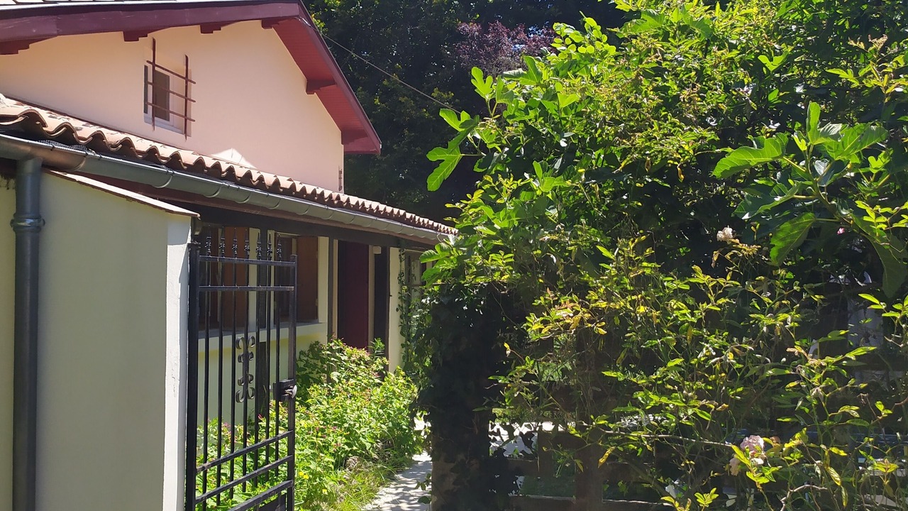 Photo of Outdoor in Noaillan