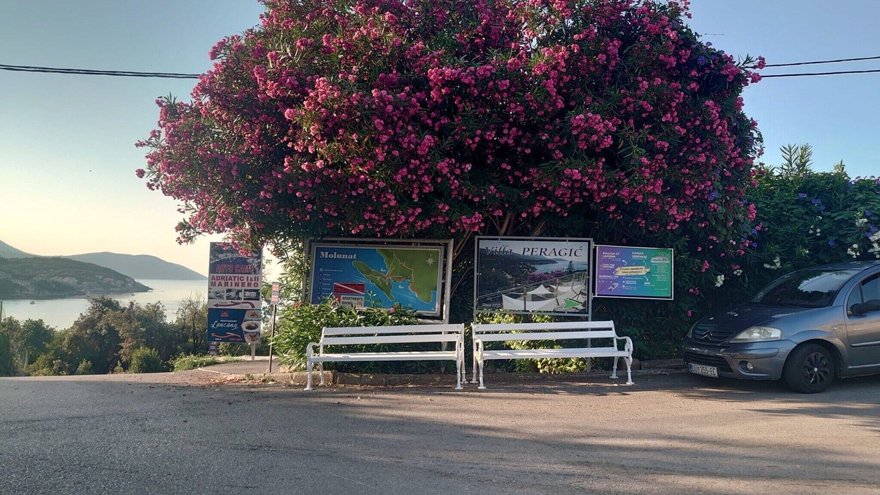 Photo of Others in Molunat
