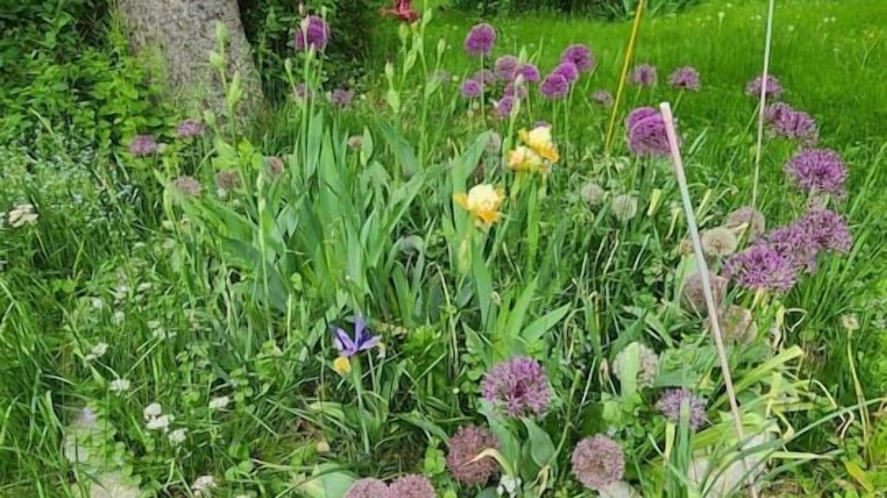 Photo of Outdoor in Montgomery