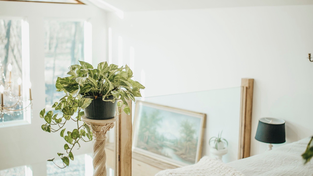 Photo of Bedroom in Redlick