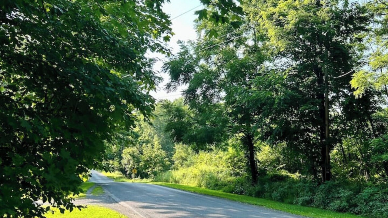 Photo of Others in Ithaca