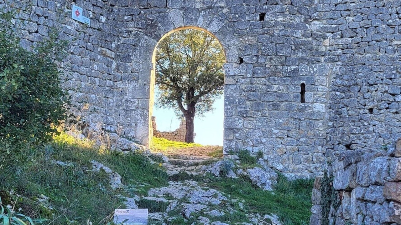 Photo of Others in Saint-Victor-de-Malcap