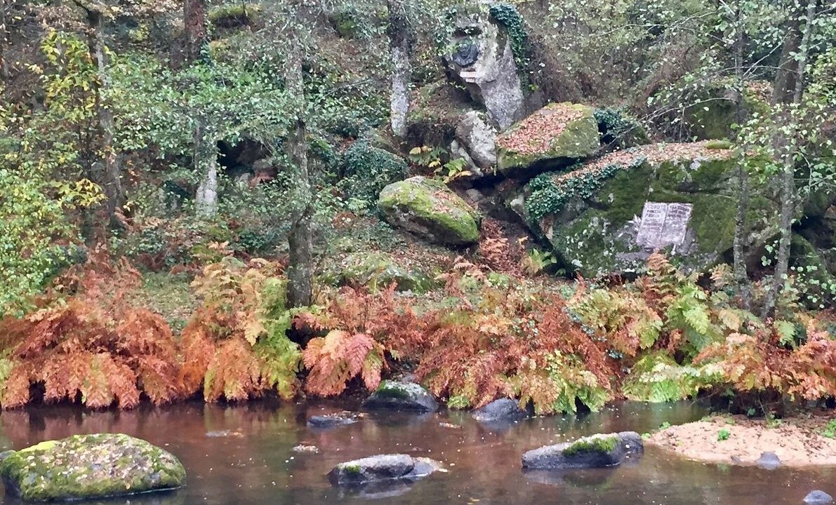 Photo of Outdoor in Saint-Junien