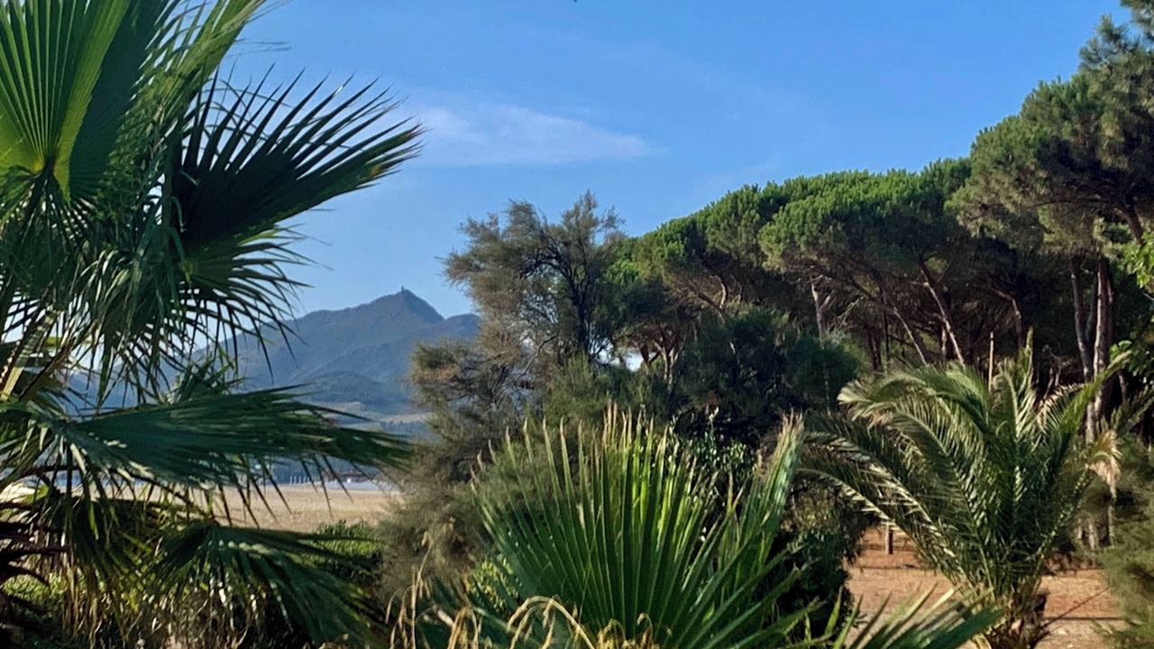 Photo of Outdoor in Palau-del-Vidre