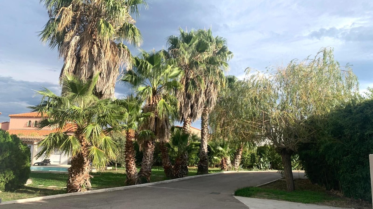 Photo of Outdoor in Palau-del-Vidre