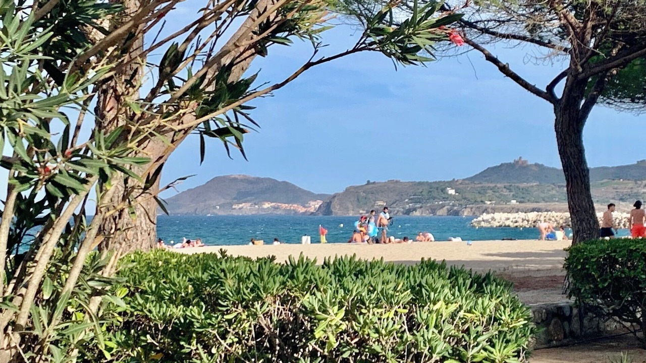 Photo of Others in Palau-del-Vidre