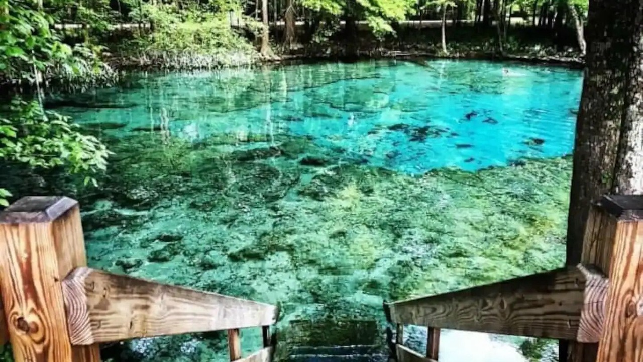 Photo of Outdoor in Ocala