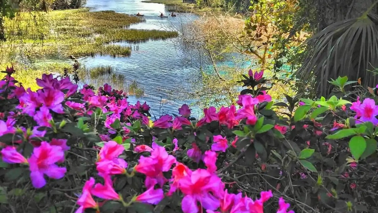 Photo of Outdoor in Ocala