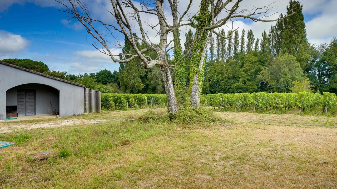 Photo of Outdoor in Neac